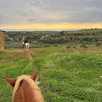 Corte Atenea Experience & Agrigento